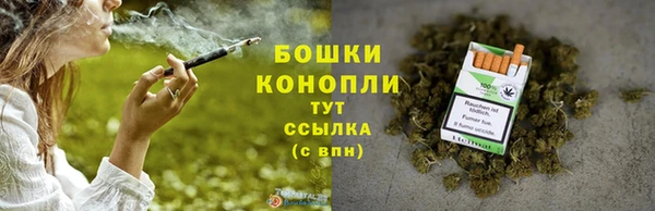 тгк Бородино