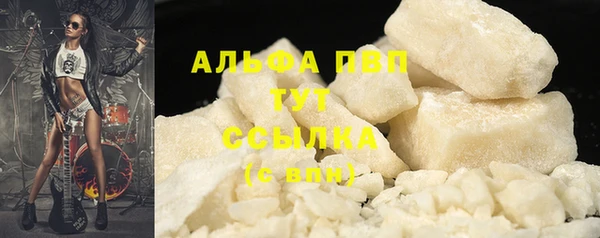 тгк Бородино