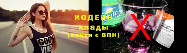дживик Бронницы