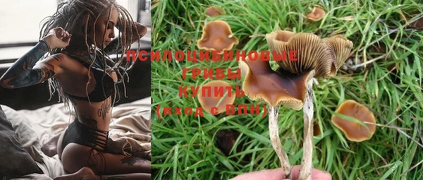 тгк Бородино