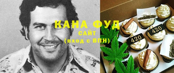 тгк Бородино