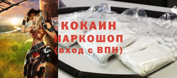 тгк Бородино