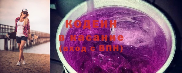 дживик Бронницы